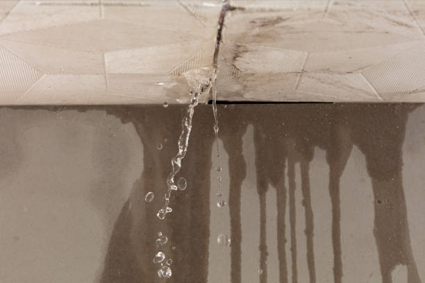 Professional Burst Pipe Cleanup technician working in Penelope, TX